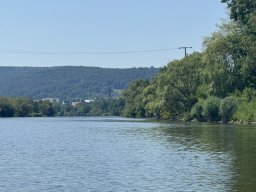 Mainschwimmen Juni 2026
